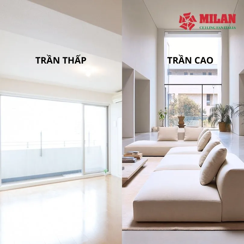 quat-tran-nao-mat-nhat-2